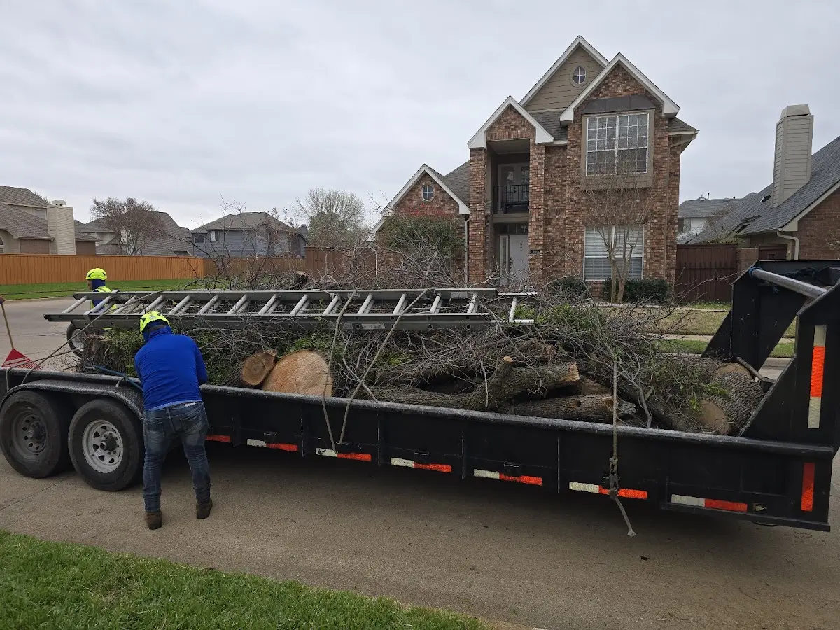 Expert Tree Fertilization with proper safety equipment in Brackenridge